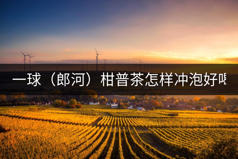 一球（郎河）柑普茶怎樣沖泡好喝？