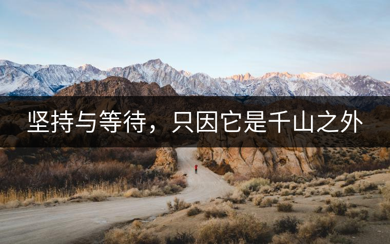 堅持與等待，只因它是千山之外