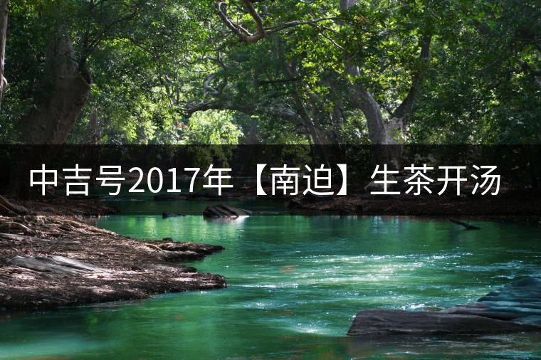 中吉號(hào)2017年【南迫】生茶開湯品飲 中吉號(hào)2017年【南迫】生茶開湯品飲