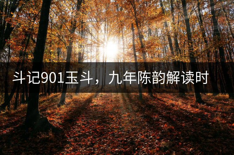 斗記901玉斗，九年陳韻解讀時(shí)間之味