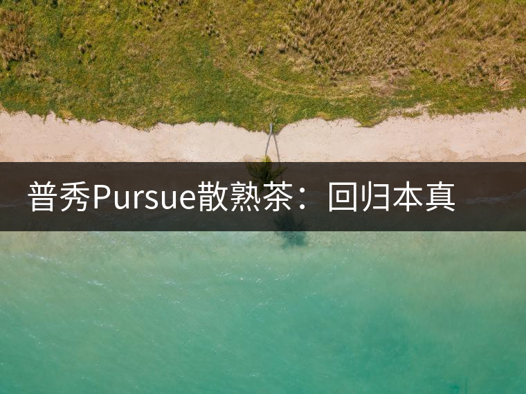 普秀Pursue散熟茶：回歸本真，一款高性?xún)r(jià)比口糧散熟茶
