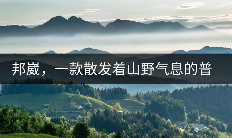 邦崴，一款散發(fā)著山野氣息的普洱
