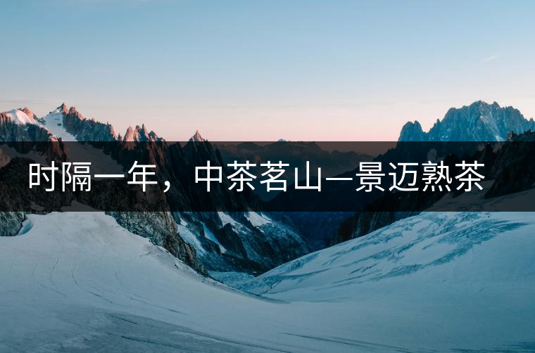 時隔一年，中茶茗山—景邁熟茶有哪些變化