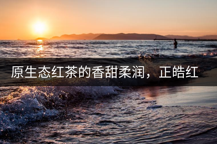 原生態(tài)紅茶的香甜柔潤(rùn)，正皓紅的魅力無(wú)可抵擋！