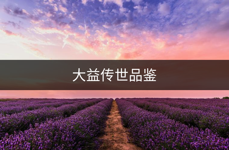 大益?zhèn)魇榔疯b