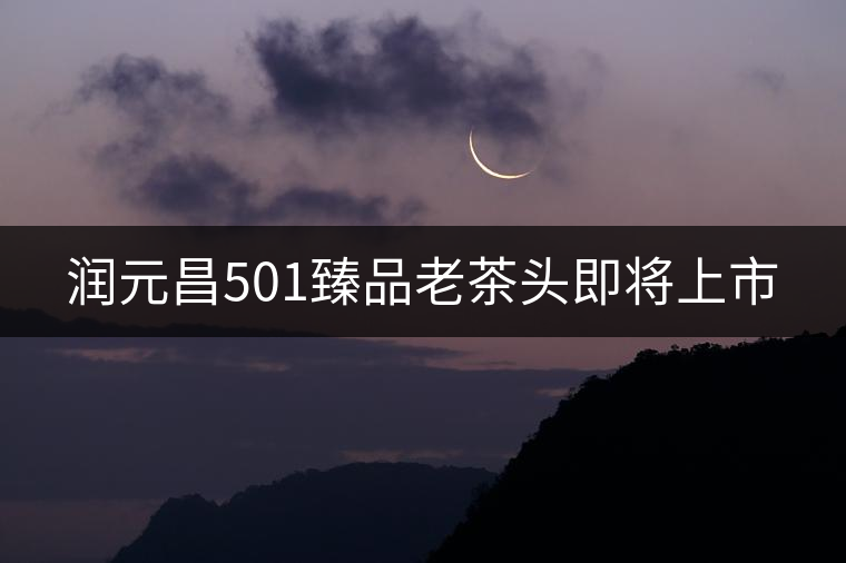 潤元昌501臻品老茶頭即將上市