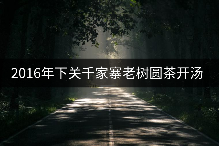 2016年下關(guān)千家寨老樹圓茶開湯品鑒