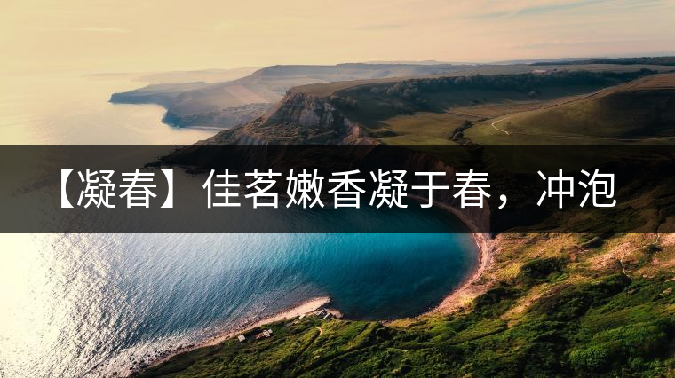 【凝春】佳茗嫩香凝于春，沖泡要訣盡在此