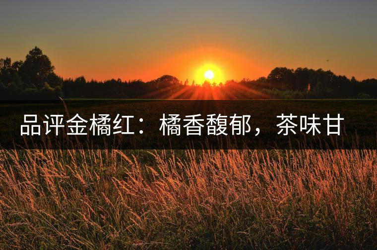 品評(píng)金橘紅：橘香馥郁，茶味甘醇，匠心拼配，臻于至善