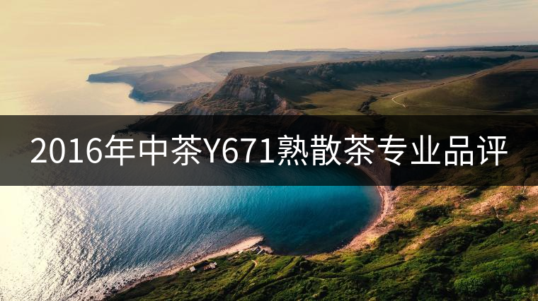 2016年中茶Y671熟散茶專業(yè)品評