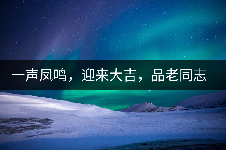 一聲鳳鳴，迎來大吉，品老同志鳳鳴吉至