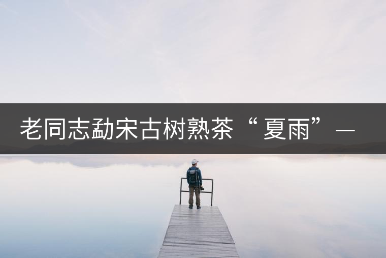 老同志勐宋古樹熟茶“ 夏雨”— 飲茶伴夏，只為您！