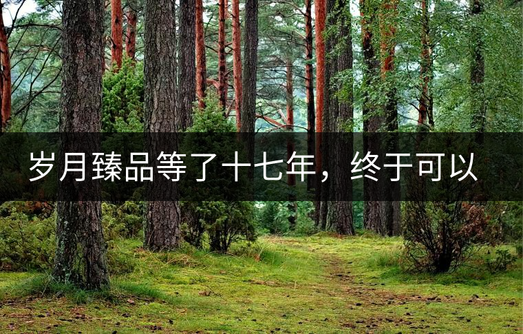 歲月臻品等了十七年，終于可以品味歲月