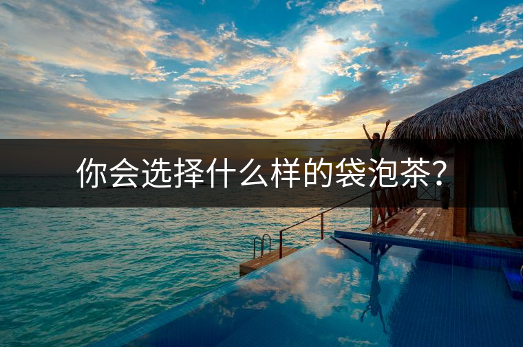 你會選擇什么樣的袋泡茶？