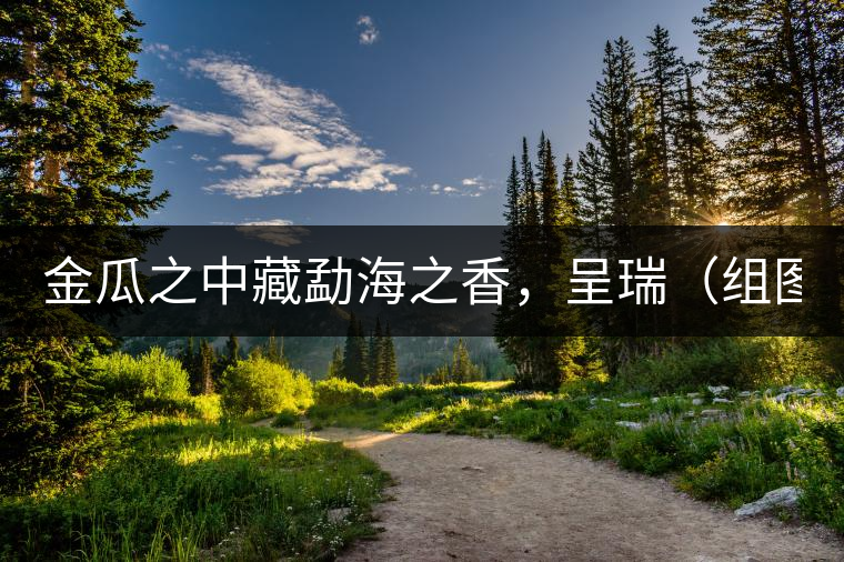 金瓜之中藏勐海之香，呈瑞（組圖）