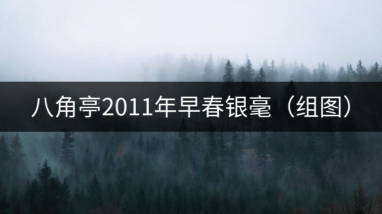 八角亭2011年早春銀毫（組圖）