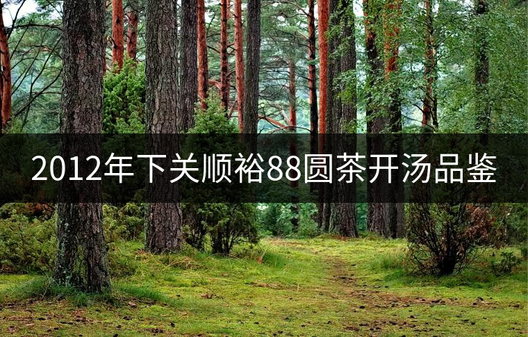 2012年下關(guān)順裕88圓茶開湯品鑒 2012年下關(guān)順裕88圓茶開湯品鑒