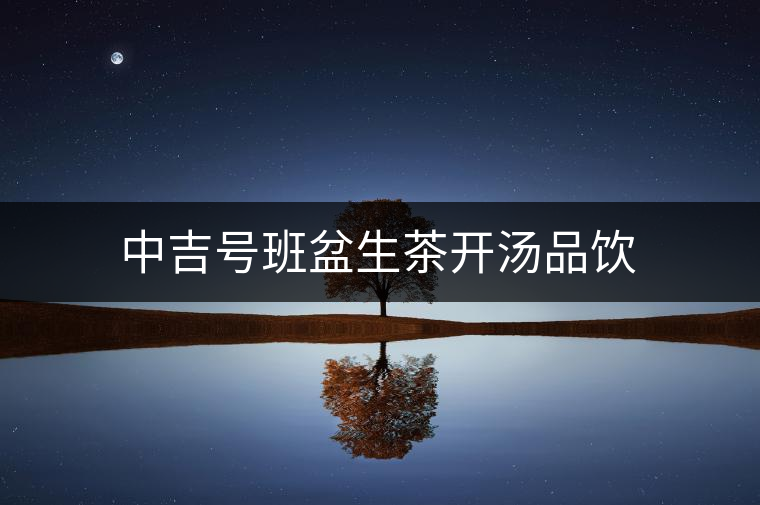 中吉號(hào)班盆生茶開(kāi)湯品飲