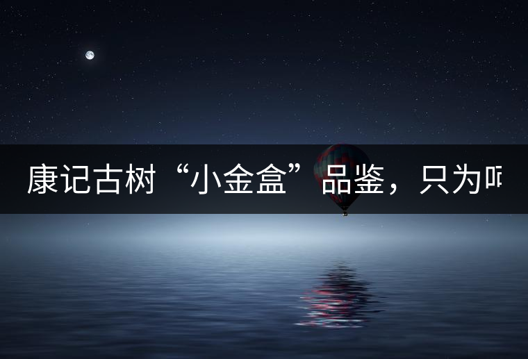 康記古樹“小金盒”品鑒，只為呵護(hù)您的味蕾！