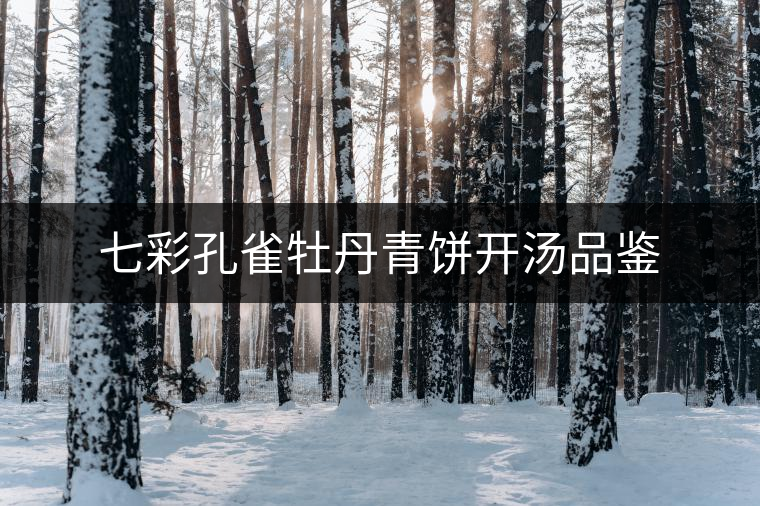 七彩孔雀牡丹青餅開(kāi)湯品鑒