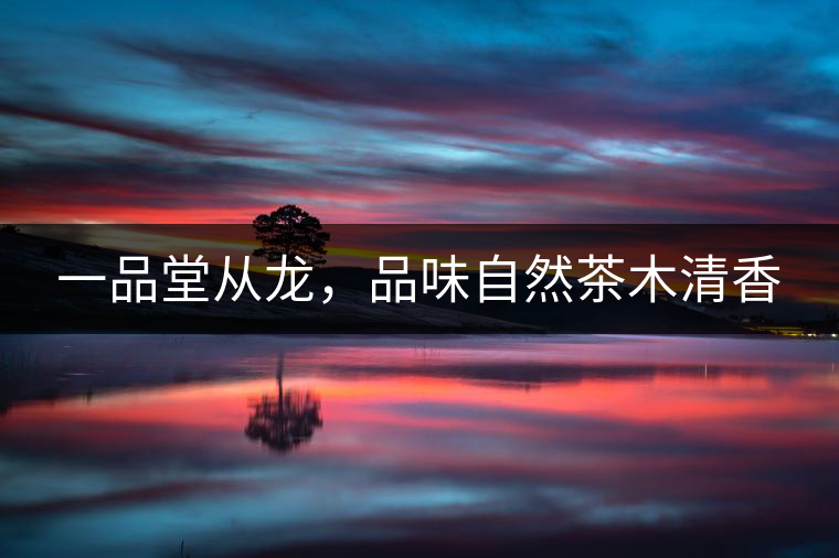 一品堂從龍，品味自然茶木清香