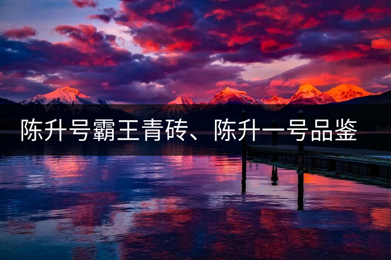 陳升號(hào)霸王青磚、陳升一號(hào)品鑒【圖】