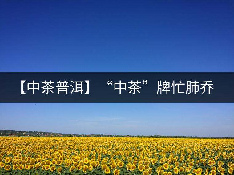 【中茶普洱】“中茶”牌忙肺喬木圓茶品評(píng) 【中茶普洱】“中茶”牌忙肺喬木圓茶品評(píng)