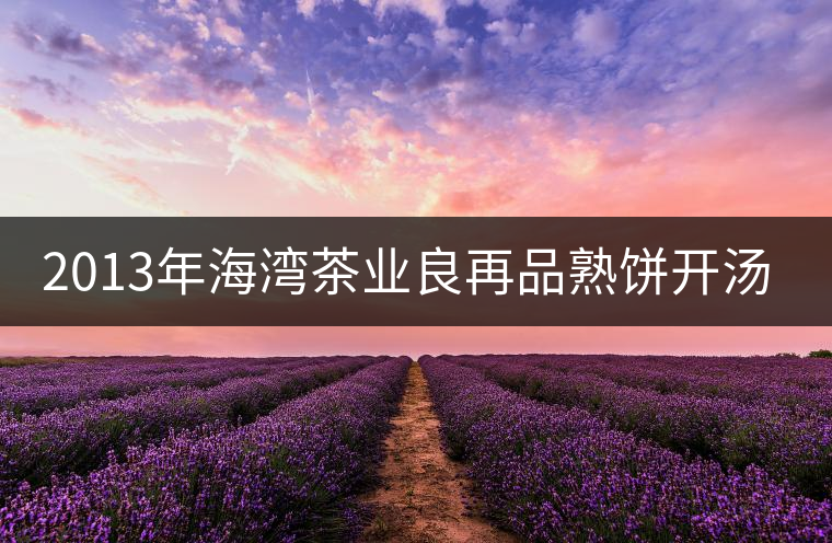 2013年海灣茶業(yè)良再品熟餅開湯品鑒 2013年海灣茶業(yè)良再品熟餅開湯品鑒