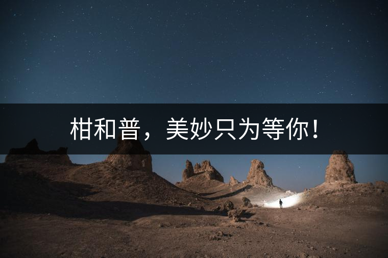 柑和普，美妙只為等你！