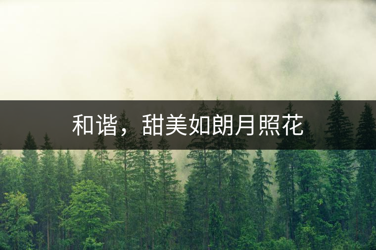 和諧，甜美如朗月照花