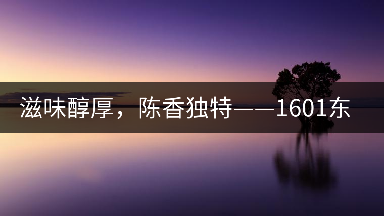 滋味醇厚，陳香獨特——1601東方美韻品鑒