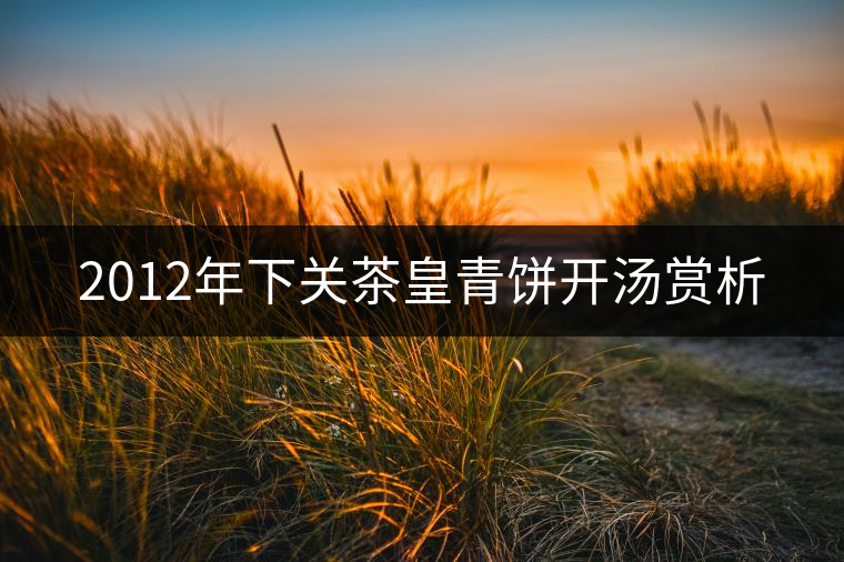 2012年下關(guān)茶皇青餅開湯賞析