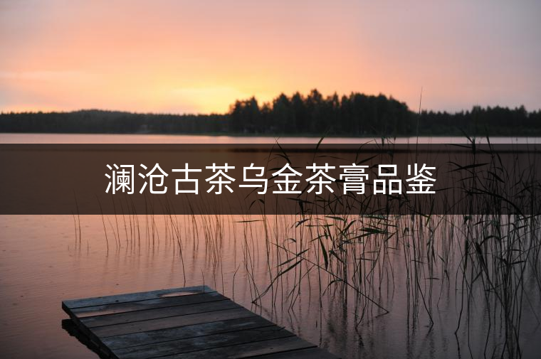 瀾滄古茶烏金茶膏品鑒