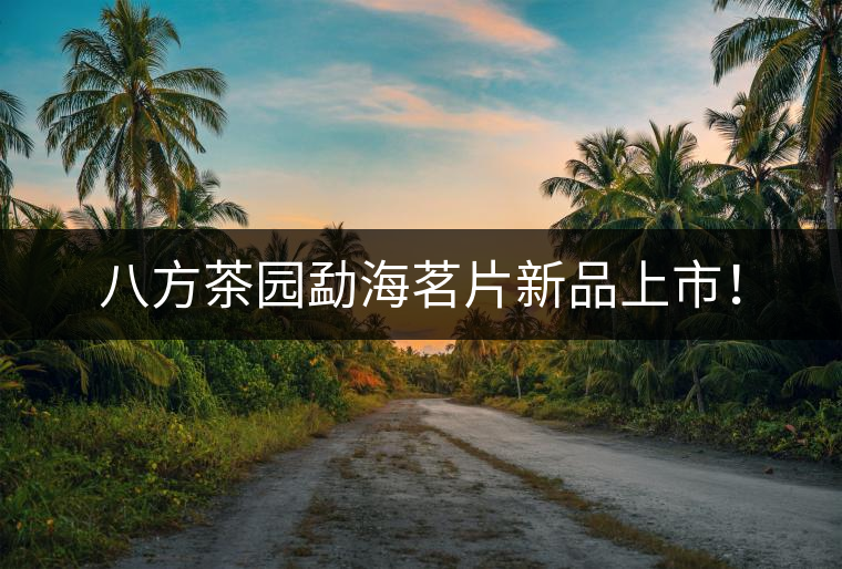 八方茶園勐海茗片新品上市！