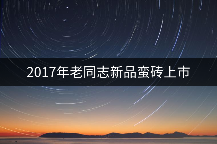 2017年老同志新品蠻磚上市