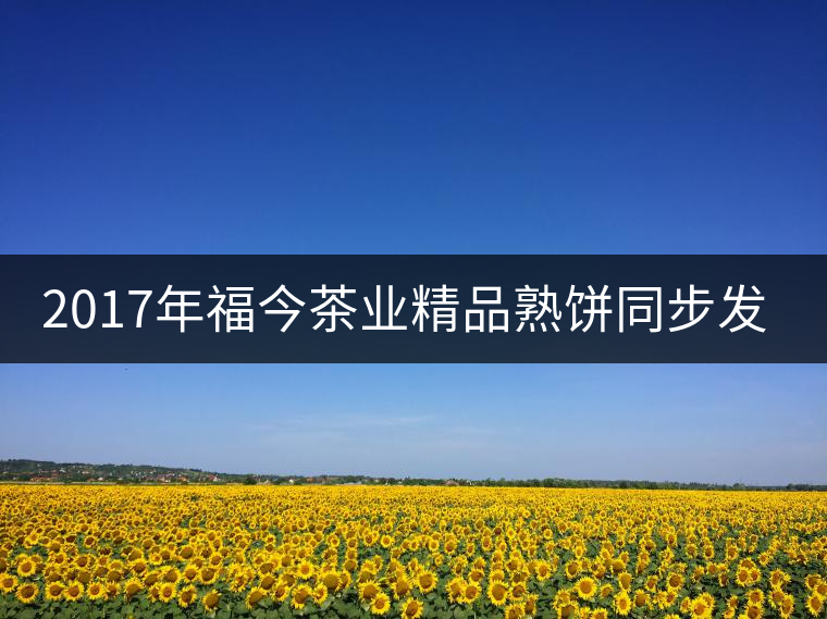 2017年福今茶業(yè)精品熟餅同步發(fā)售