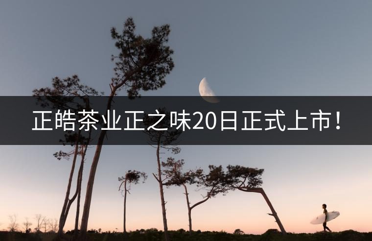 正皓茶業(yè)正之味20日正式上市！