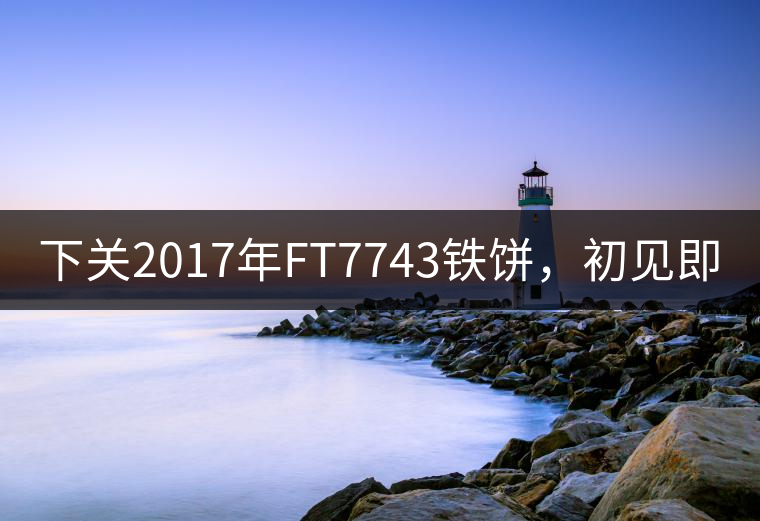 下關(guān)2017年FT7743鐵餅，初見(jiàn)即傾城!