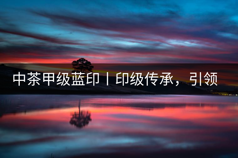 中茶甲級藍(lán)印丨印級傳承,引領(lǐng)風(fēng)韻 中茶甲級藍(lán)印丨印級傳承,引領(lǐng)風(fēng)韻
