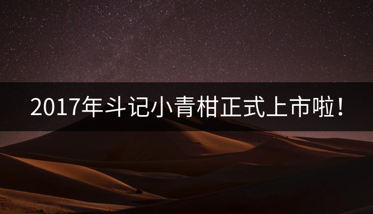 2017年斗記小青柑正式上市啦！