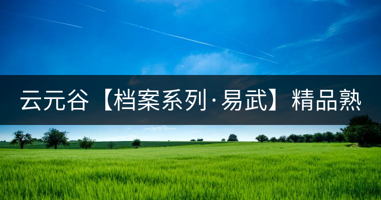 云元谷【檔案系列·易武】精品熟茶，精裝上市！