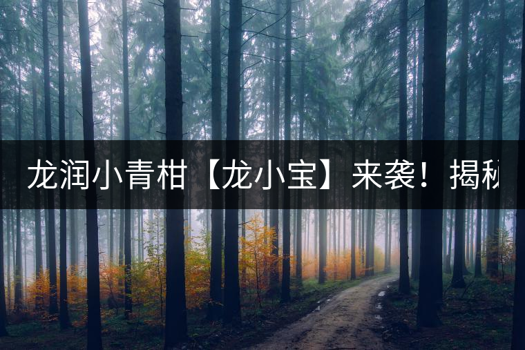 龍潤小青柑【龍小寶】來襲！揭秘它的前半生！