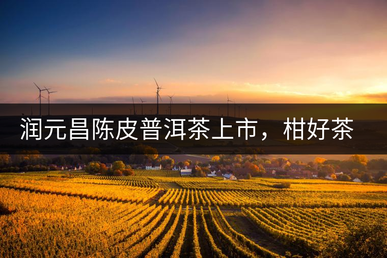 潤元昌陳皮普洱茶上市，柑好茶更好，精品普洱茶