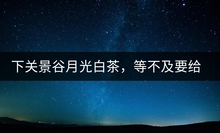 下關(guān)景谷月光白茶，等不及要給你的思念
