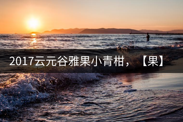 2017云元谷雅果小青柑，【果】真來了