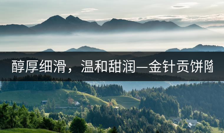 醇厚細(xì)滑，溫和甜潤(rùn)—金針貢餅隆重上市！