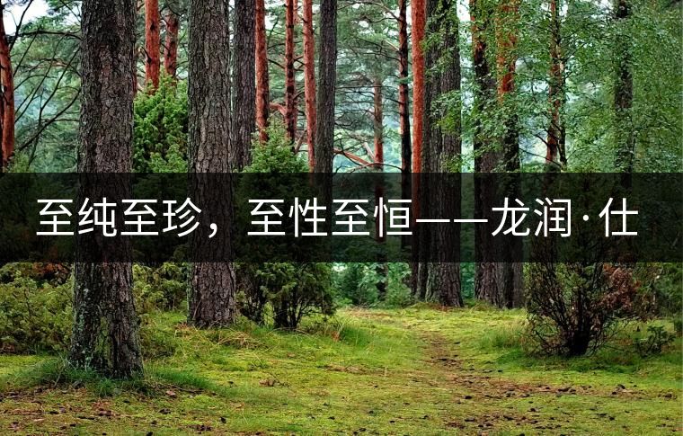 至純至珍，至性至恒——龍潤·仕通茶新上市！