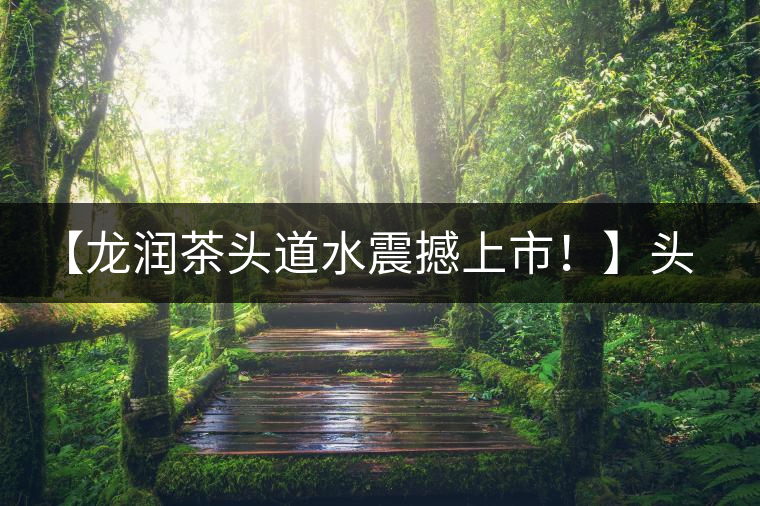 【龍潤茶頭道水震撼上市！】頭道水，二道茶，三道四道是精華！