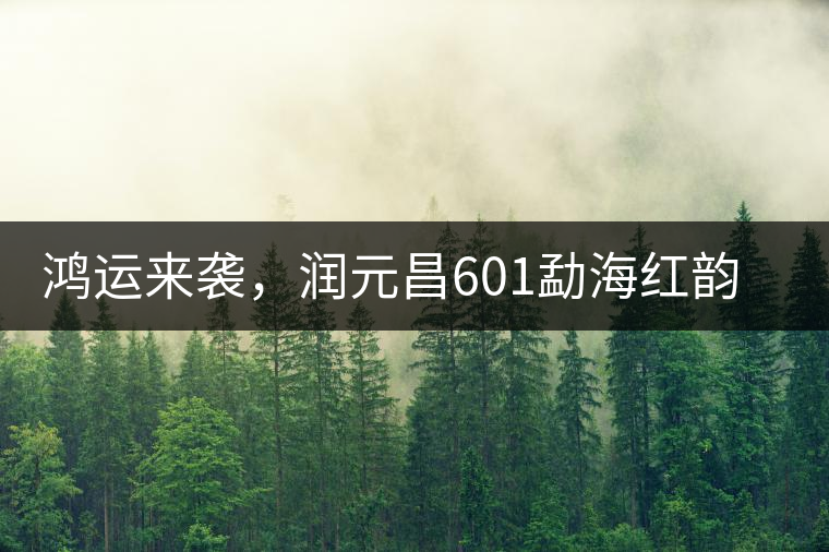 鴻運(yùn)來襲，潤元昌601勐海紅韻熟茶即將上市