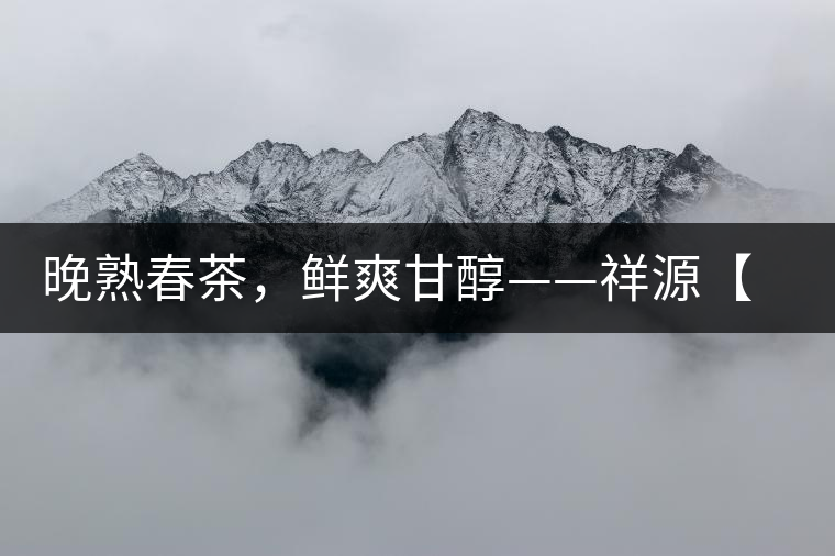 晚熟春茶，鮮爽甘醇——祥源【政和大白】清鮮上市